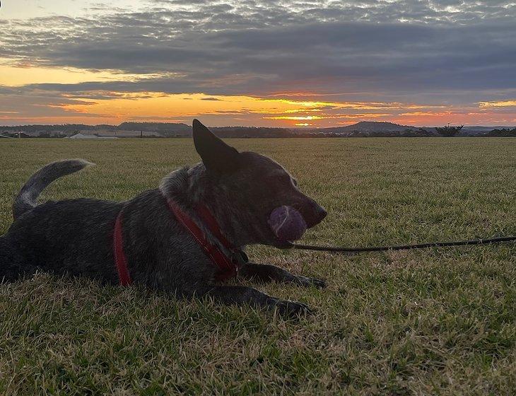 Kleinton, Queensland