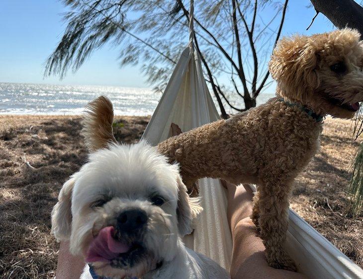 Balgal Beach, Queensland