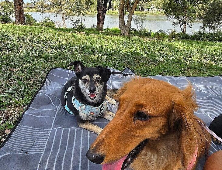 Bundoora, Victoria