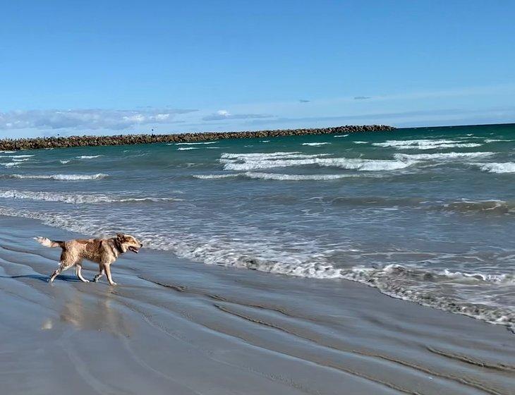 North Haven, South Australia