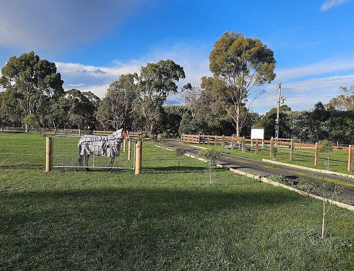 Winchelsea, Victoria - Image 1
