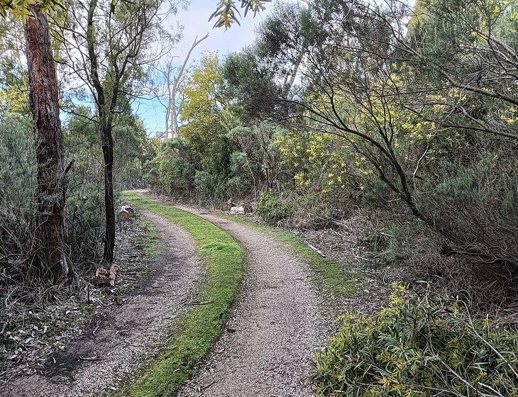 Langwarrin, Victoria - Image 2