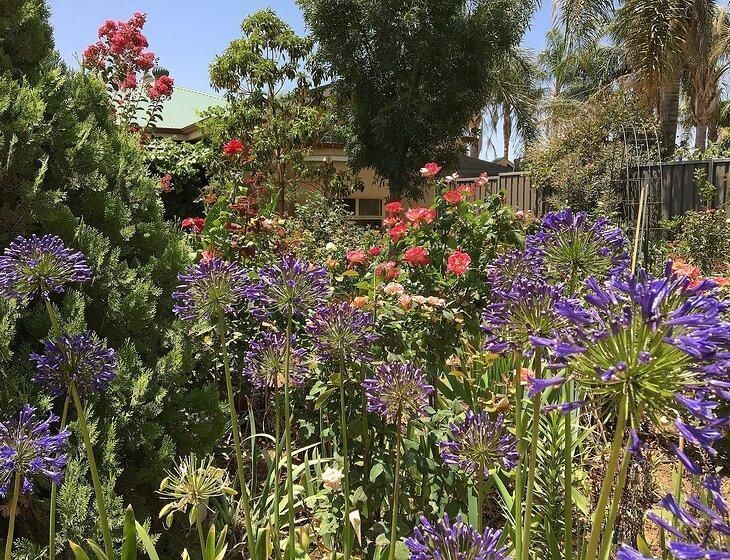 Merbein, Victoria - Image 4