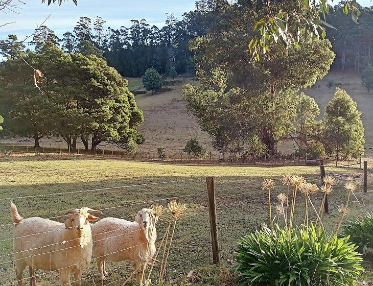 Lower Wilmot, Tasmania