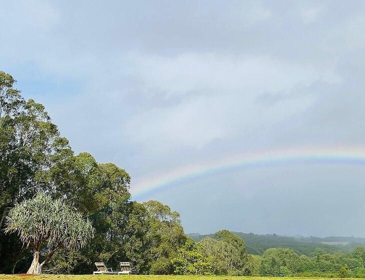 Eltham, New South Wales - Image 2
