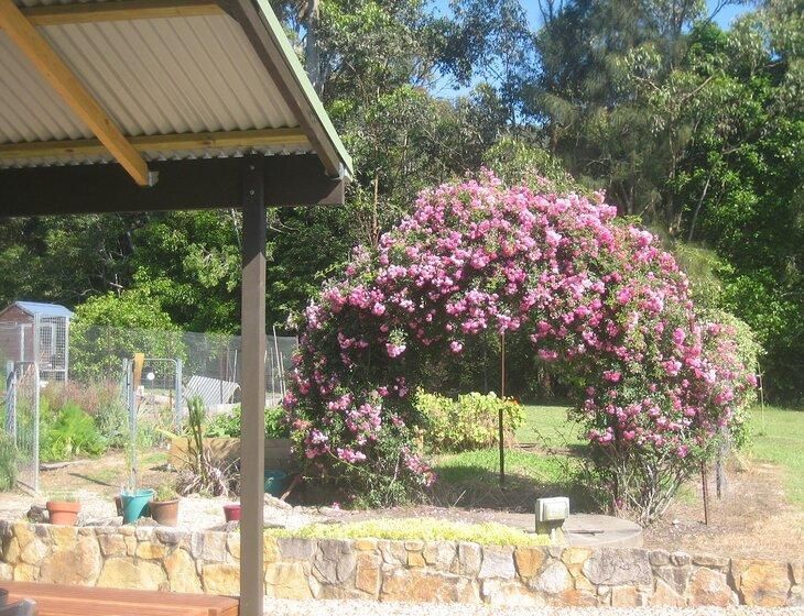 Valla, New South Wales - Image 3