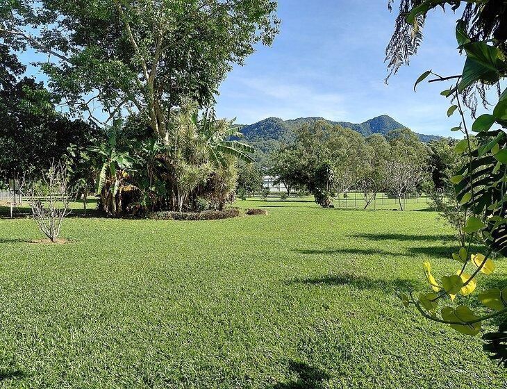 Bentley Park, Queensland - Image 6
