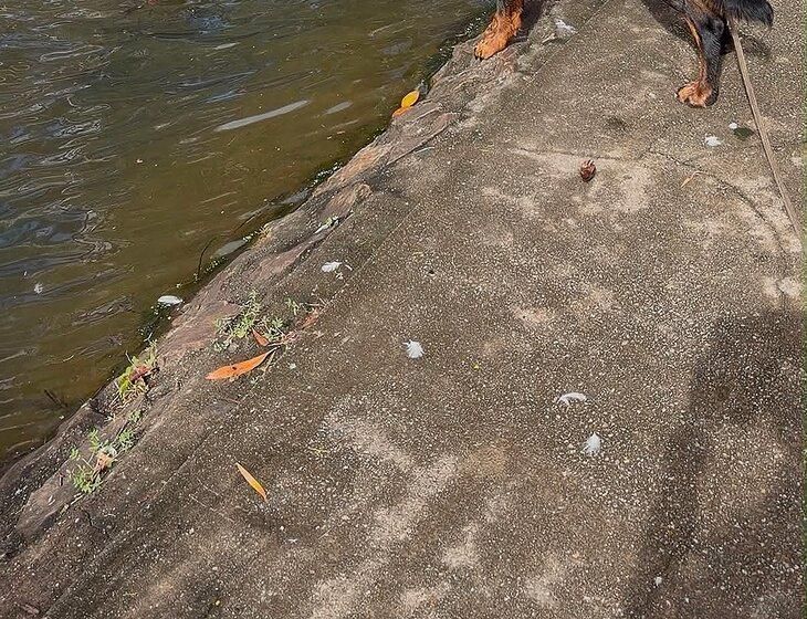 Caboolture, Queensland - Image 2