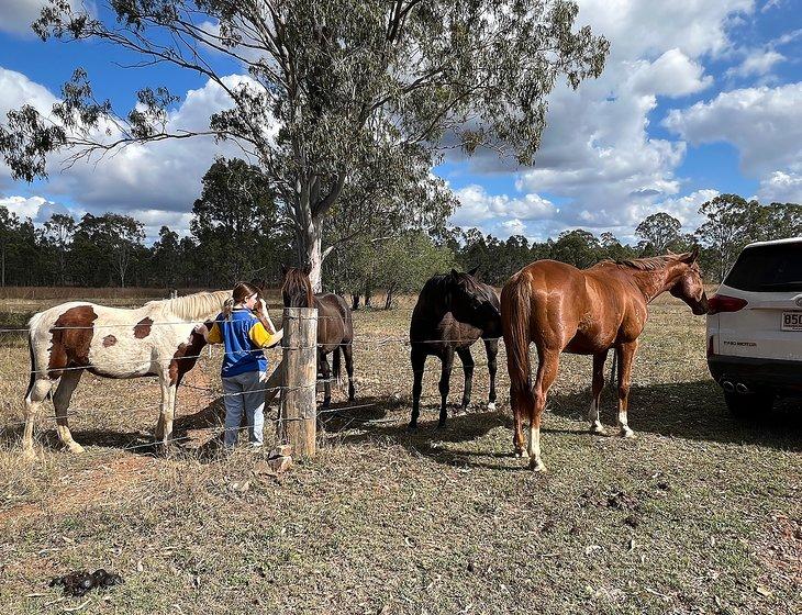 West Stowe, Queensland