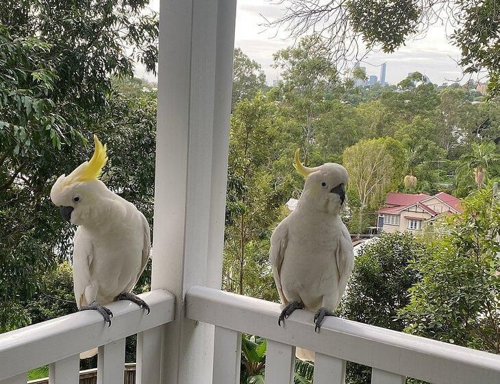 Brisbane, Queensland - Image 2