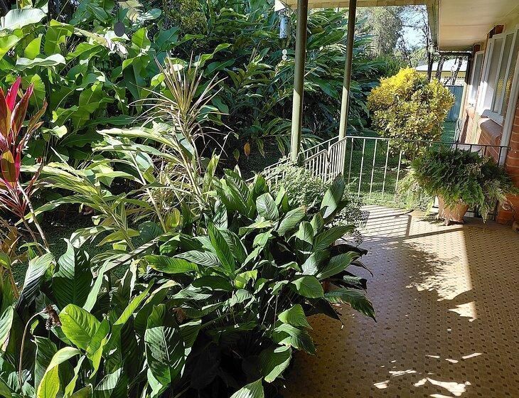 Bentley Park, Queensland - Image 2