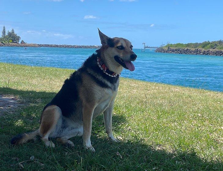 Tweed Heads, New South Wales