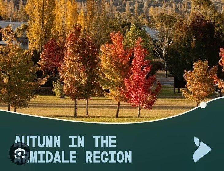 Armidale, New South Wales - Image 1