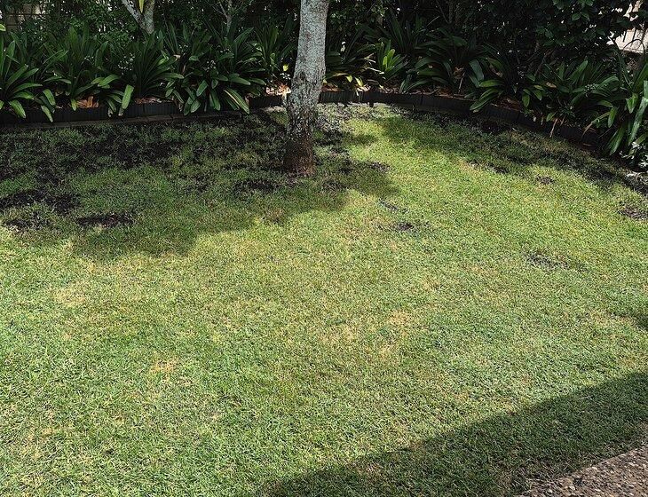 Toowoomba, Queensland - Image 2