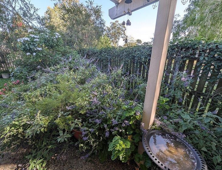 Capalaba, Queensland - Image 3