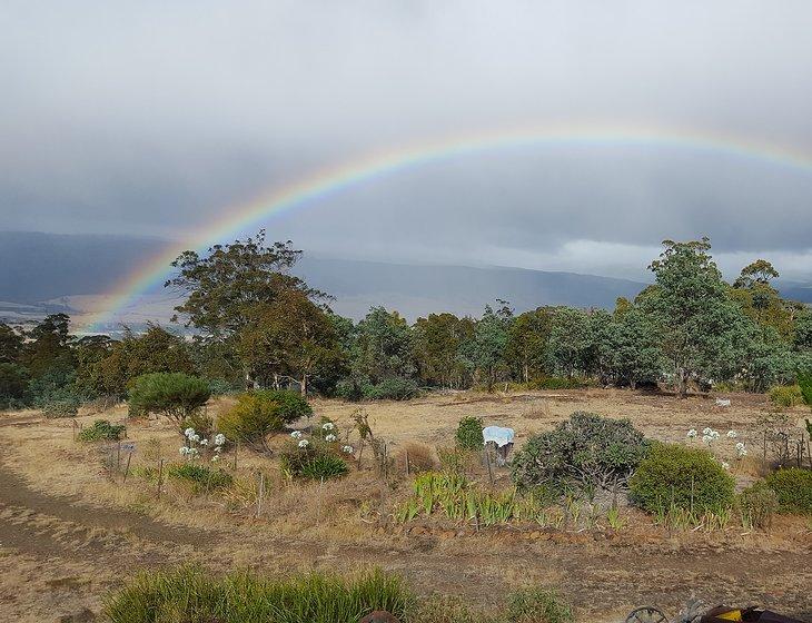 Black Hills, Tasmania