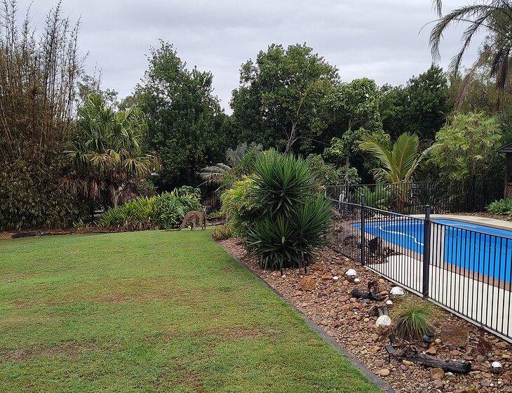 Hervey Bay, Queensland - Image 3