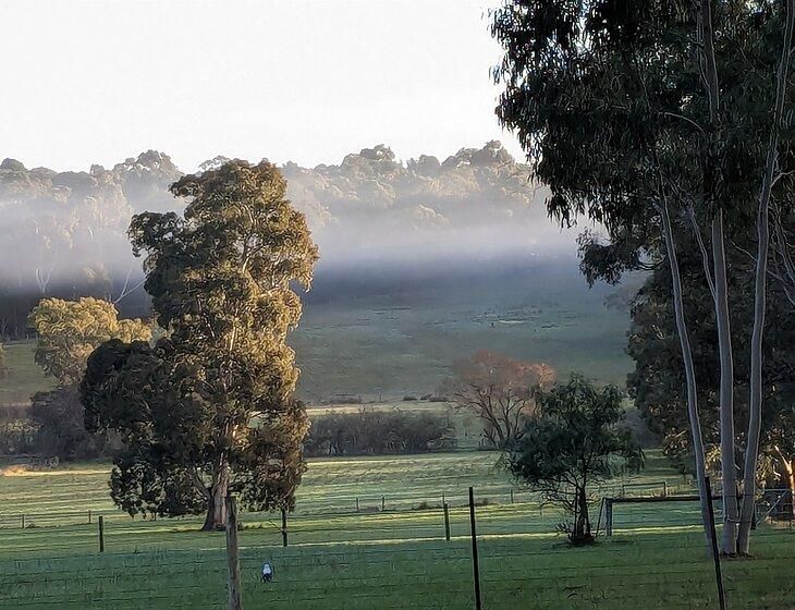 Hahndorf, South Australia - Image 2