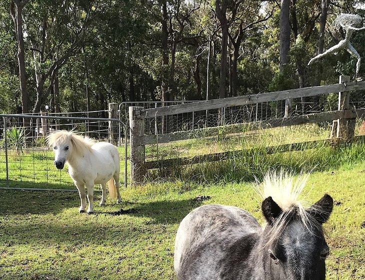 Wallagoot, New South Wales