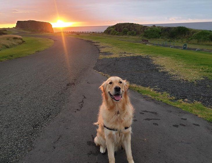 Kiama Downs, New South Wales