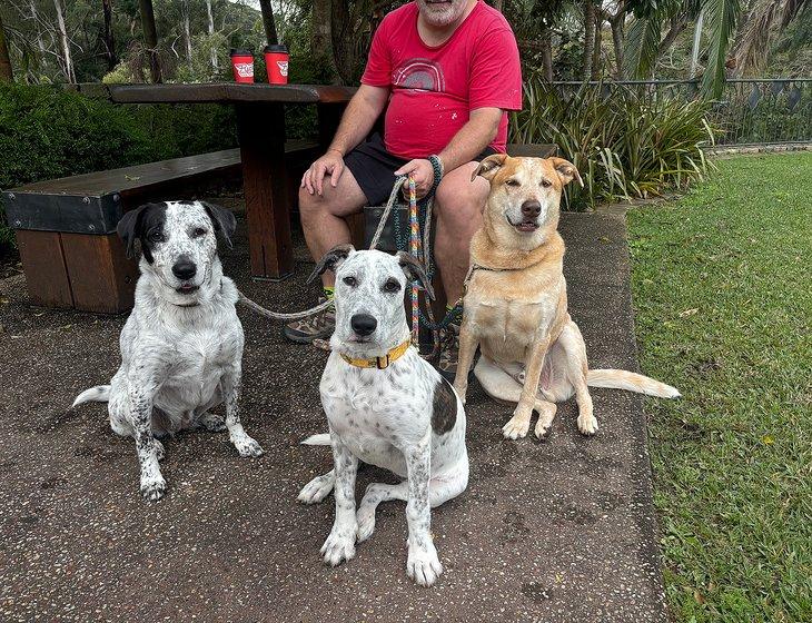 Palmwoods, Queensland - Image 2
