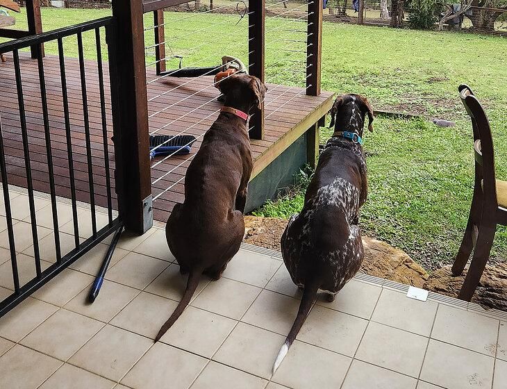 Chatsworth, Queensland - Image 2