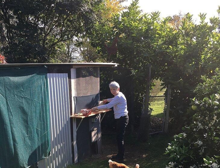 Bolwarra Heights, New South Wales - Image 4
