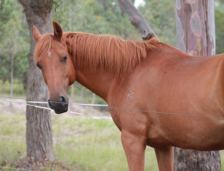 Verona, New South Wales