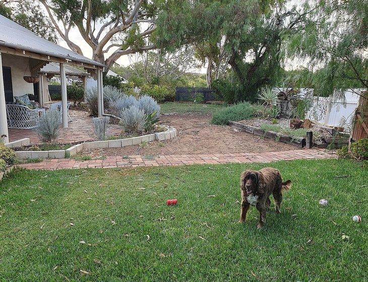 Dongara, Western Australia