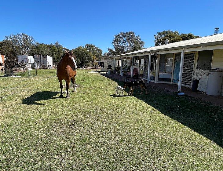 Broomehill, Western Australia