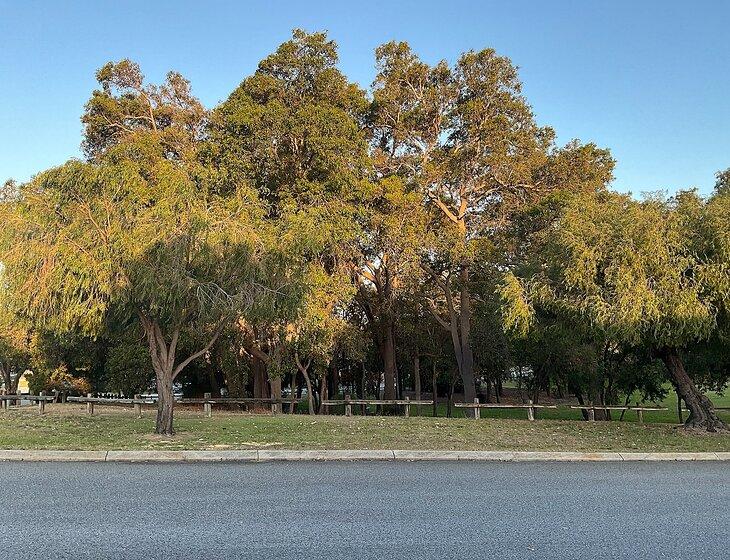 Hamersley, Perth, Western Australia