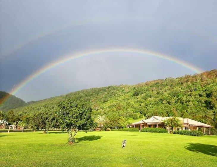 King Scrub, Queensland