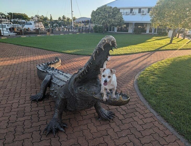 Stuart Park, Northern Territory