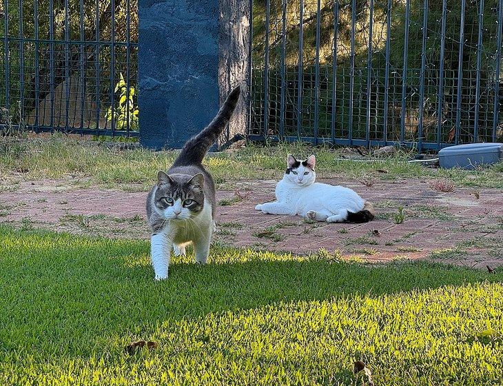 Ascot, Western Australia