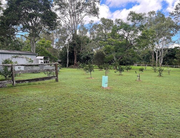 Bellbowrie, Queensland - Image 6