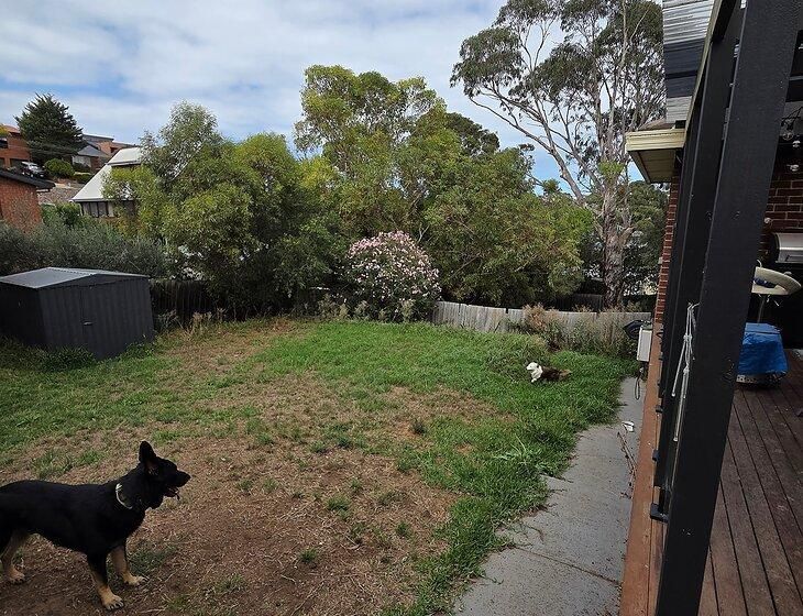 Avondale Heights, Victoria - Image 4