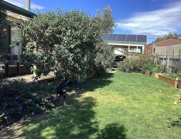 Torquay, Victoria - Image 8