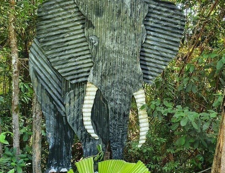 Kuranda, Queensland - Image 3