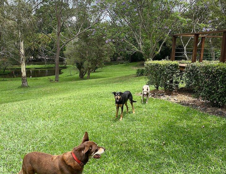 Mooloolah Valley, Queensland