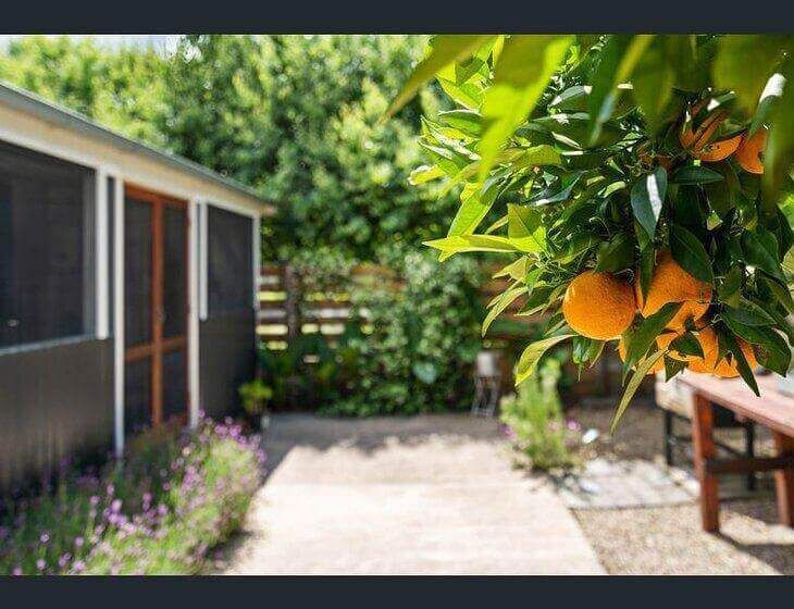 Murrurundi, New South Wales - Image 4
