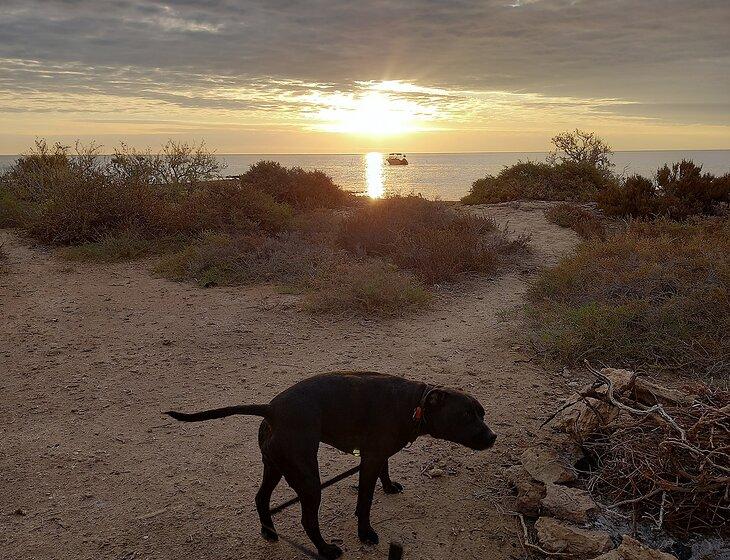 Coodanup, Western Australia