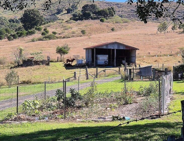 Mount Alford, Queensland - Image 2