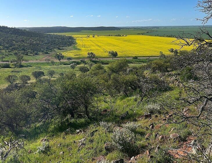 Morawa, Western Australia - Image 3