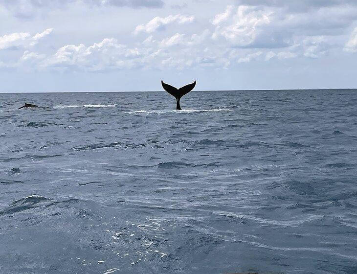 Coral Cove, Queensland - Image 3