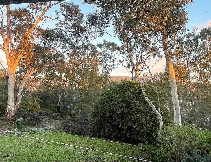 Highbury, South Australia - Image 4