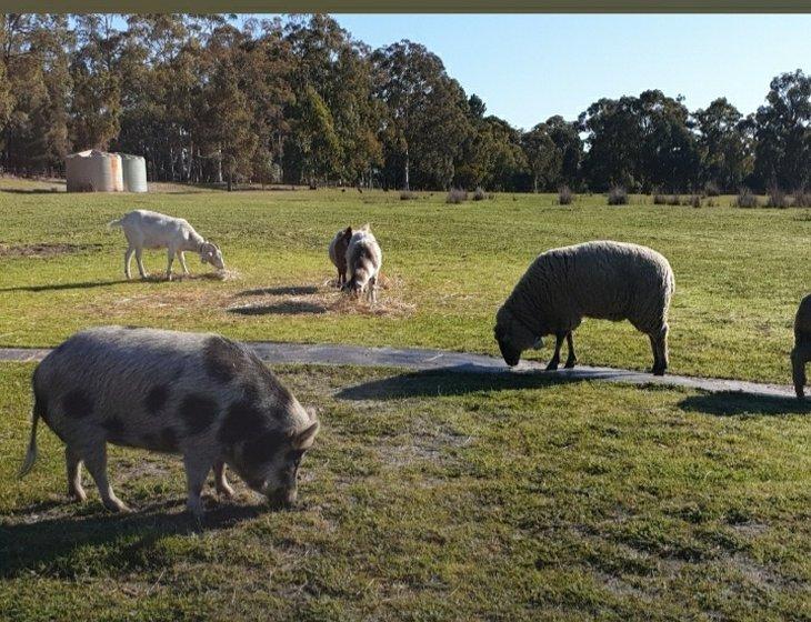 Preston Settlement, Western Australia