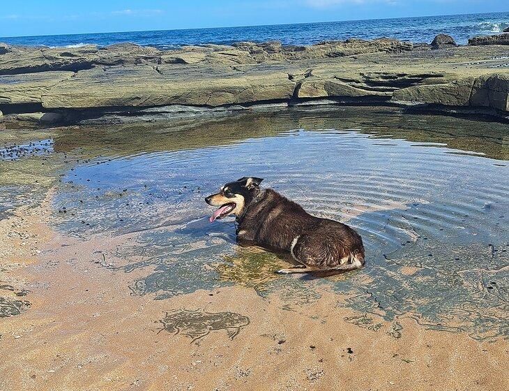 Forresters Beach, New South Wales - Image 3