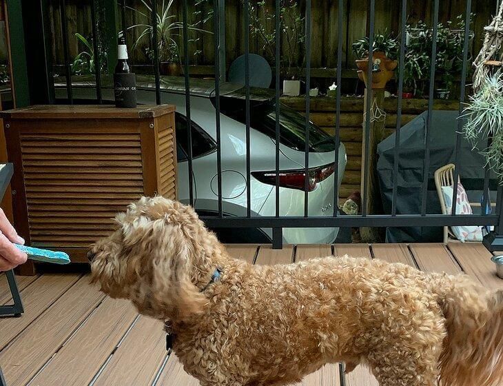 North Gosford, New South Wales