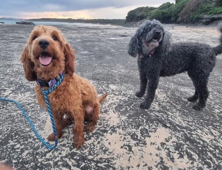 Ulladulla, New South Wales
