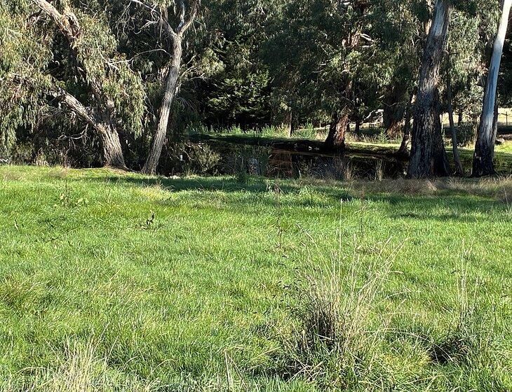 Rochford, Victoria - Image 6